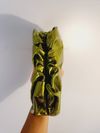 Clutch Bottega Veneta Pouch