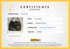 Bolsa Louis Vuitton Artsy MM