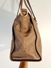 Bolsa Louis Vuitton Lumineuse