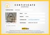 Bolsa Fendi Peekaboo Selleria