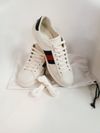Tênis Gucci Ace