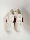 Tênis Gucci Ace