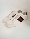Tênis Gucci Ace