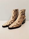 Bota Voy Python