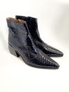 Bota Dump Python