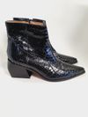 Bota Dump Python