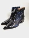Bota Dump Python