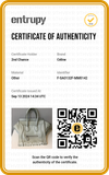 Bolsa Celine Luggage