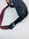 Pochete Coach Chart Belt