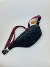 Pochete Coach Chart Belt