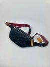 Pochete Coach Chart Belt