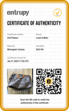 Bolsa Louis Vuitton Speedy Monogram 30