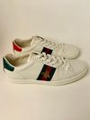 Tênis Gucci Ace