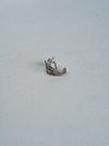 Piercing Vivara ouro branco 18K