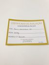 Brinco Vivara ouro amarelo