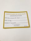 Brinco Vivara ouro amarelo 18K