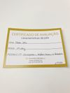 Brinco Eduarda Brunelli prata