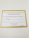 Aliança HStern Greta ouro amarelo 18K
