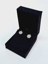 Brinco Loveggy ouro branco 18K