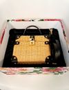 Bolsa Dolce & Gabbana Box Straw Small