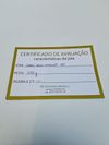 Colar Ju Bochner em ouro 18K