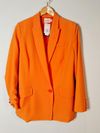 Blazer Shop Ginger