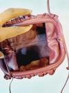 Bolsa Bottega Veneta Mini Pouch 