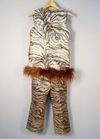 Conjunto D-Gaia