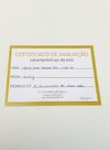Anel aliança Vivara ouro branco