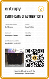 Bolsa Louis Vuitton Neverfull GM Monogram 