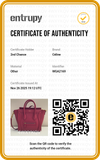 Bolsa Celine Luggage Nano
