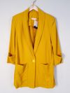 Blazer NV