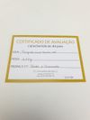 Pingente em ouro branco 18K