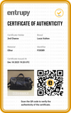 Bolsa Tote Louis Vuitton Sofia Coppola GM