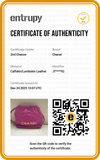 Bolsa Chanel 22 Chain Mini 