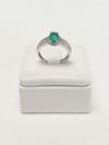 Anel em ouro branco 18K