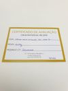 Anel em ouro amarelo 18K 