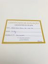 Anel em ouro branco e chuveiro de diamantes 