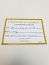 Anel em ouro branco 18K e esmeralda 