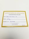 Brinco em ouro branco 18K 