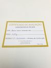 Brinco Antonio Bernardo ouro amarelo 18K 