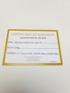 Anel Coliseu ouro amarelo 18K 