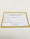 Pulseira HStern ouro amarelo 18K 