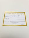 Anel em ouro branco 18K 