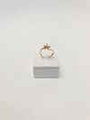 Anel em ouro amarelo 18K 