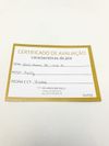 Anel Vivara ouro branco 18K 