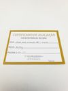 Anel Ana Rocha & Appolinario ouro amarelo 18K 