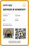 Bolsa Louis Vuitton Motherboard limited edition 
