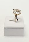 Anel HStern ouro nobre 18K 