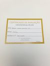 Brinco em ouro amarelo 18K